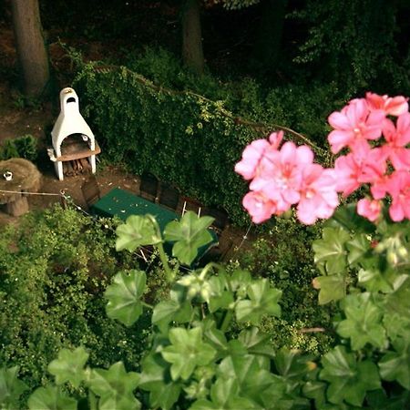 호텔-펜션 쾨니히스발트 드레스덴 외부 사진